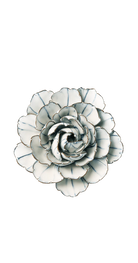 Blue White - Keiko Peony - handmade by Chive Studio Toronto
