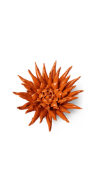 Orange - Ceramic Flower Large - handmade by Chive Studio Toronto