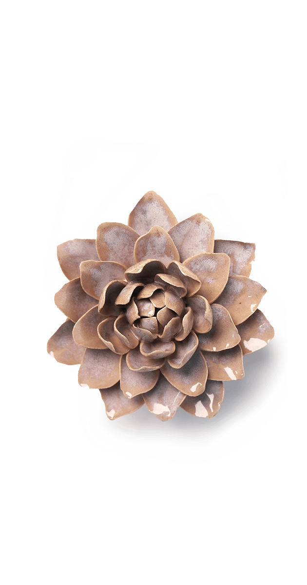 Pink Sand - Starbrite Water Lily - handmade by Chive Studio Toronto