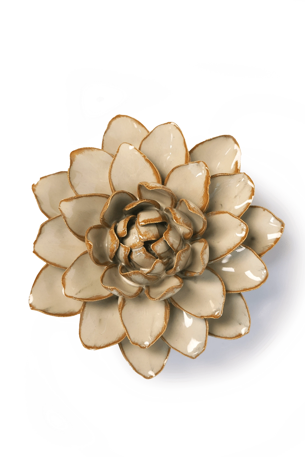 Oatmeal Starbrite Water Lily - France Collection - handmade by Chive Studio Toronto