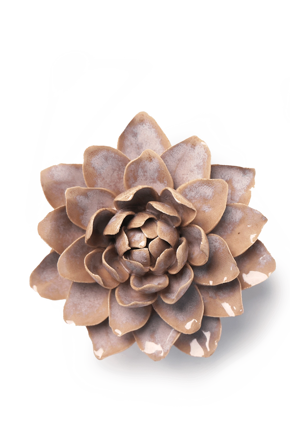 Pink Sand Starbrite Water Lily - France Collection - handmade by Chive Studio Toronto