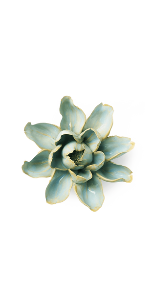 Robin's Egg Blue Aurora Water Lily | Chive Ceramics Studio
