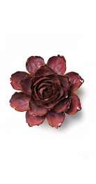 Dewberry Camellia ceramic wall flower — France Collection — Chive Ceramics Studio