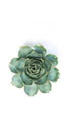 Milk Teal Camellia ceramic wall flower — France Collection — Chive Ceramics Studio