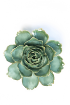 milk teal camellia ceramic wall flower -- France Collection -- handmade by Chive Studio Toronto