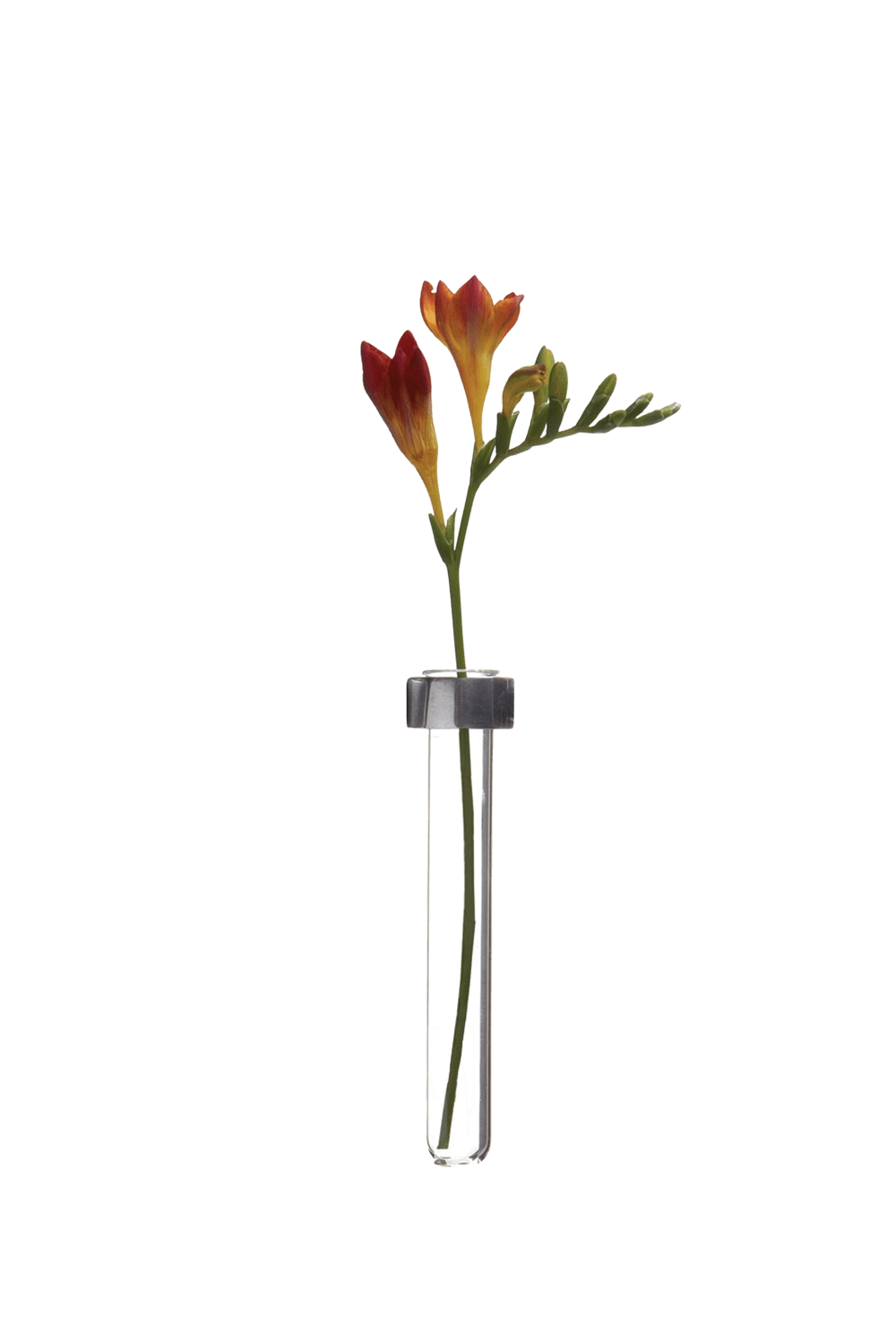 Matte Magnetic Flower Test Tube Holder - Alu - handmade by Chive Studio Toronto