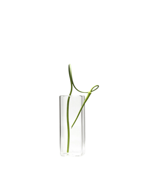 Square Vase | Cube Glass Bud Vase | Chive