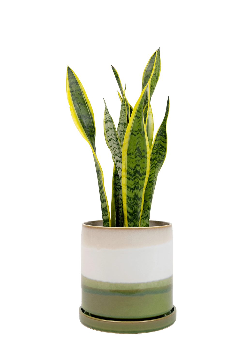 Green Layers Minute Large Ceramic Pot with Drainage - Large Indoor Ceramic Pots - handmade by Chive Studio Toronto