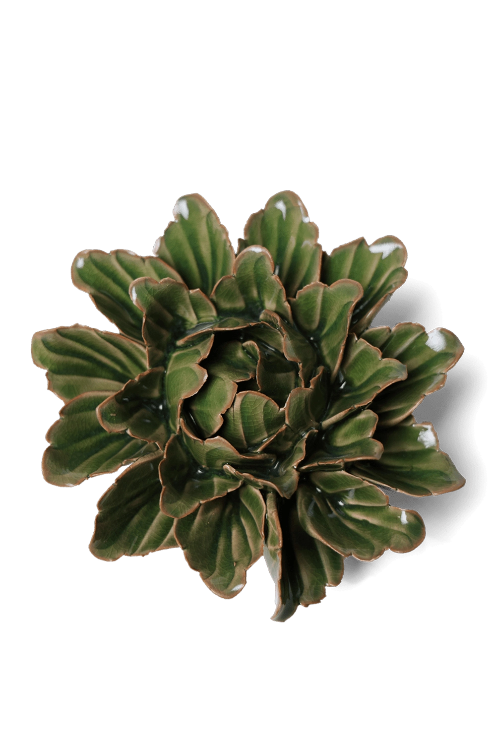 Avocado Green Unicorn Zinnia- Japan Collection - handmade by Chive Studio Toronto