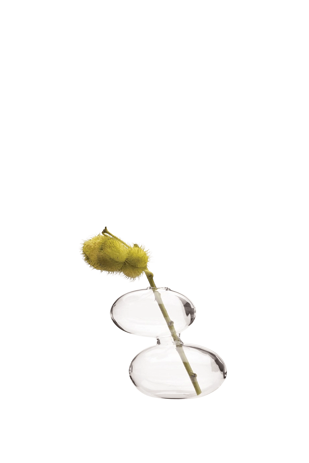 Clear Glass Modern Flower Vase - Raygun - handmade by Chive Studio Toronto