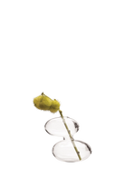 Clear Glass Modern Flower Vase - Raygun - handmade by Chive Studio Toronto