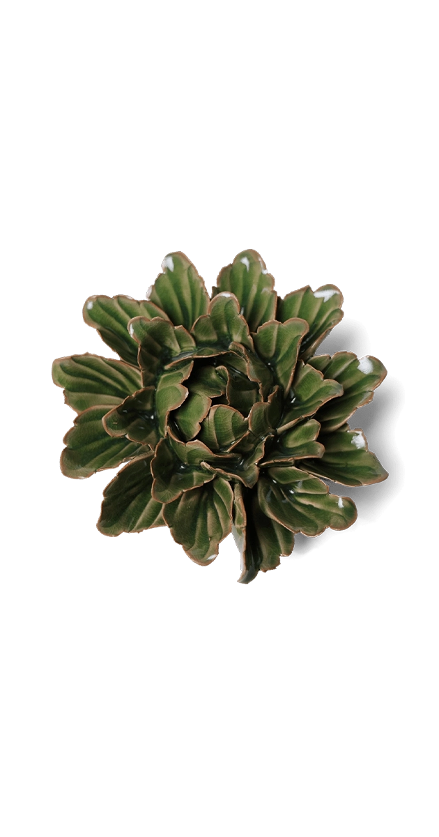 Avocado Green - Sorbet Peony - handmade by Chive Studio Toronto