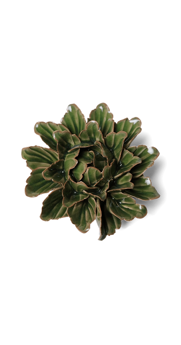 Avocado Green - Sorbet Peony - handmade by Chive Studio Toronto