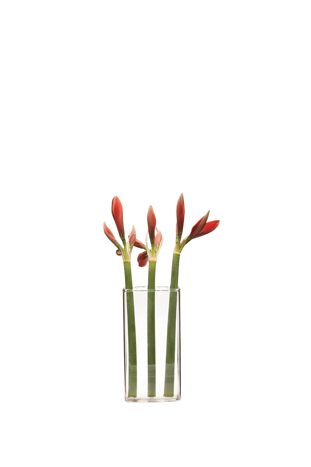 Clear Glass Modern Flower Vase - Wall Brick - handmade by Chive Studio Toronto