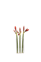 Clear Glass Modern Flower Vase - Wall Brick - handmade by Chive Studio Toronto