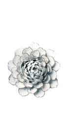 Blue White - Hermione Peony - handmade by Chive Studio Toronto