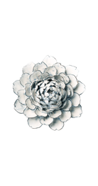 Blue White - Hermione Peony - handmade by Chive Studio Toronto
