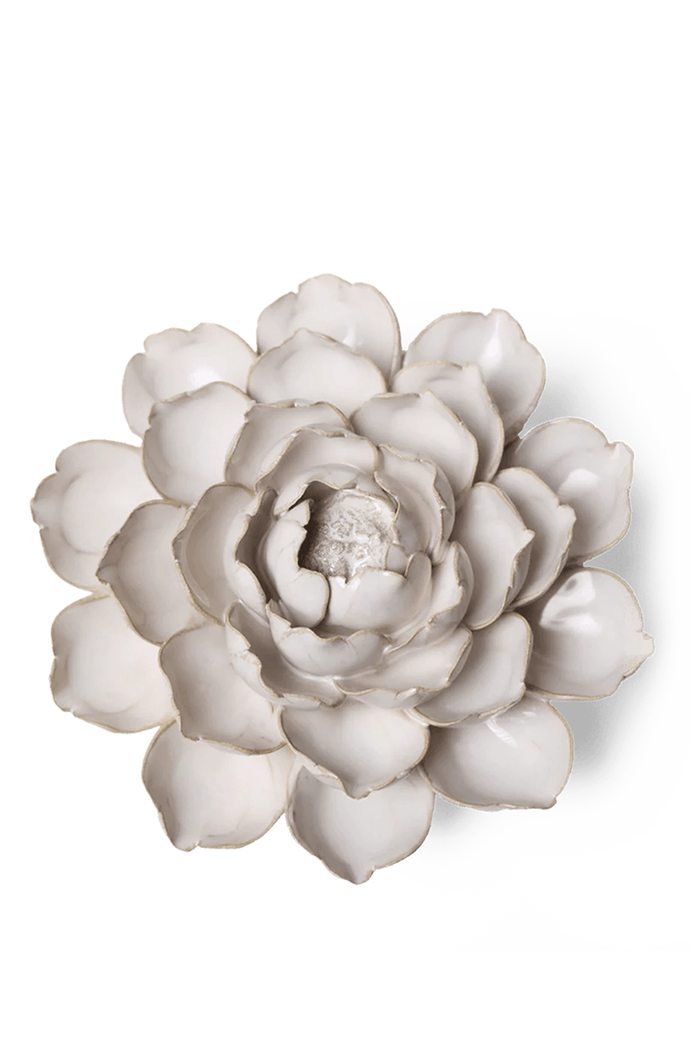 Ivory Empire Cabbage Flower - Coastal Collection - handmade by Chive Studio Toronto