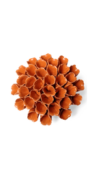Orange Large - Ceramic Flower Polyp - handmade by Chive Studio Toronto