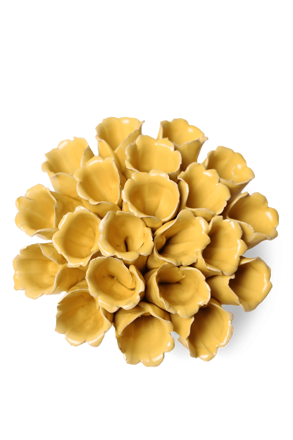 Yellow Ceramic Flower Polyp Medium - Classic Collection - handmade by Chive Studio Toronto
