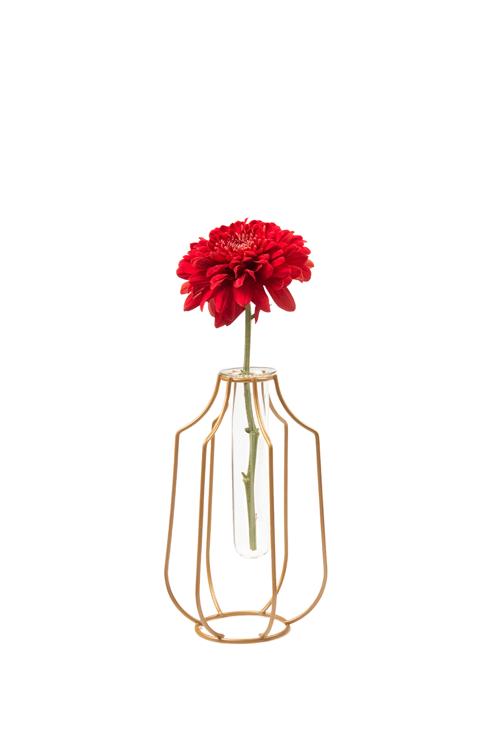 Copper Glass Propagation Vase - Test Tube - handmade by Chive Studio Toronto