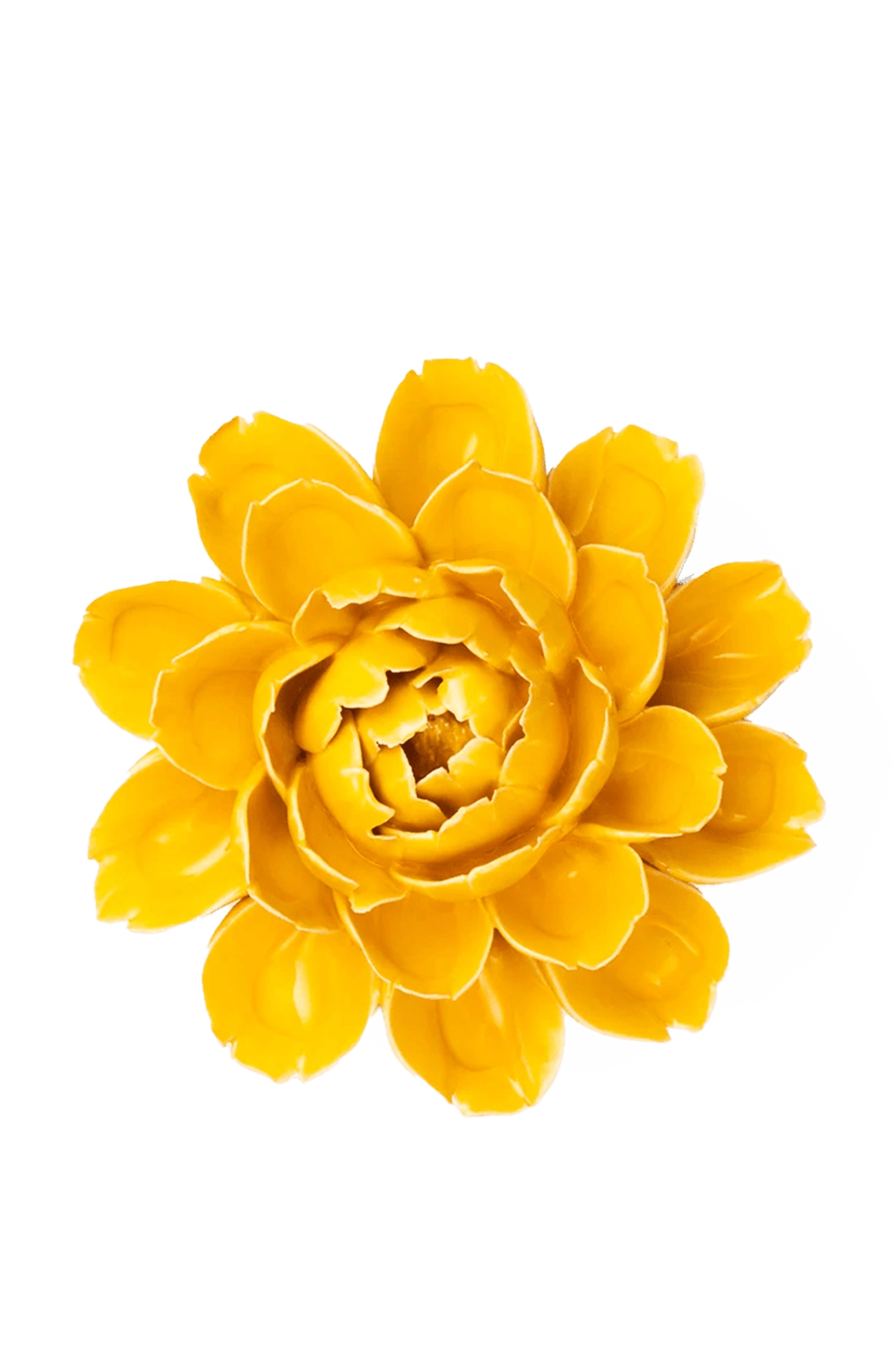 Burnt Yellow Empire Cabbage Flower - France Collection - handmade by Chive Studio Toronto