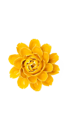 Burnt Yellow - Empire Cabbage Flower - handmade by Chive Studio Toronto