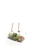 Clear Hanging Tube Glass Large Hanging Terrarium - Bolsk - handmade by Chive Studio Toronto