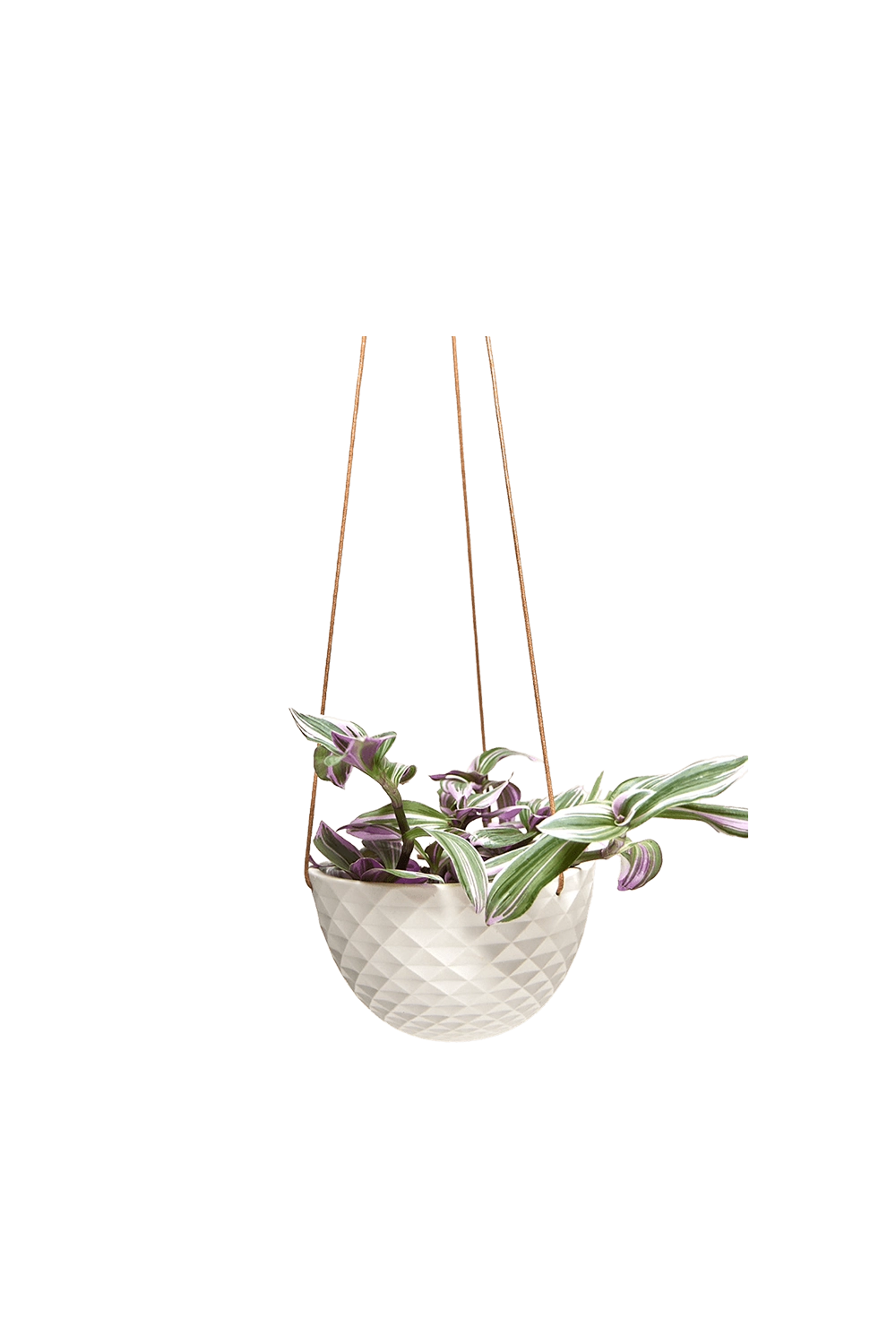 White Porcelain Modern Hanging Planter - Mofo - handmade by Chive Studio Toronto
