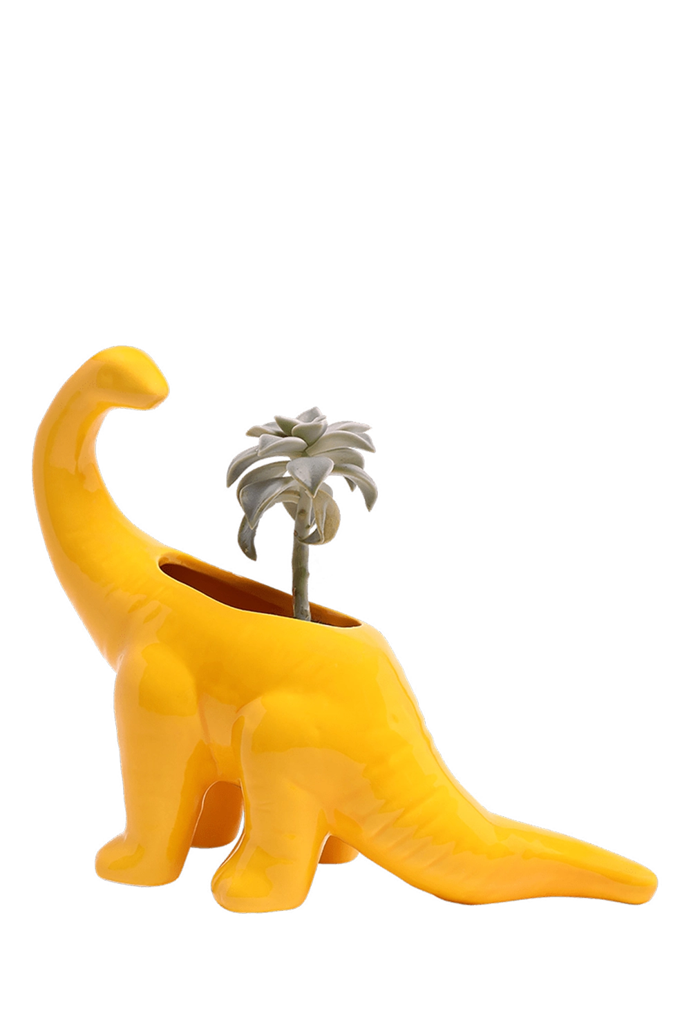 Meadowlark Yellow Ceramic Indoor Plant Pot for Succulents - Brontosaurus - handmade by Chive Studio Toronto