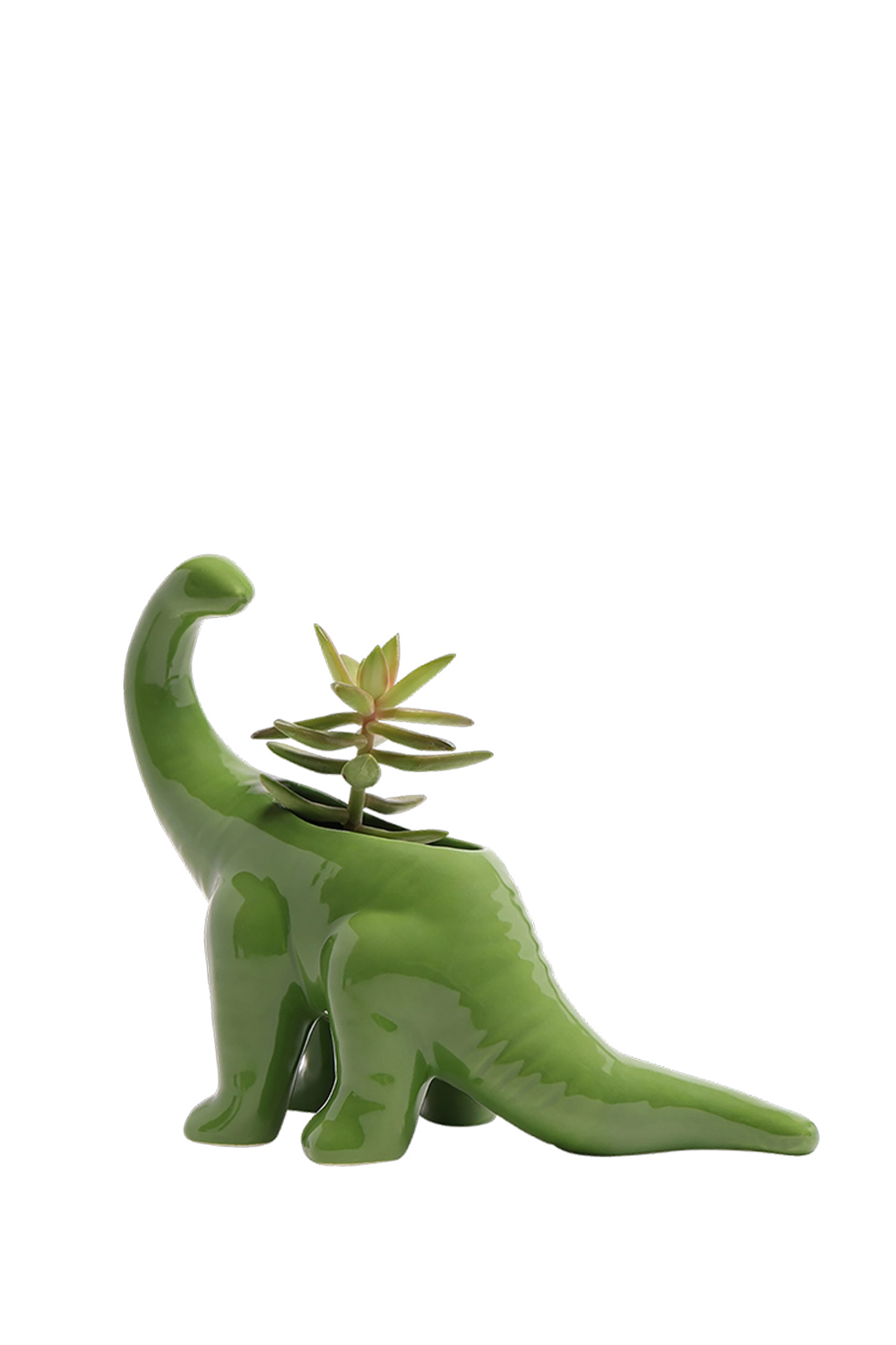 Green Ceramic Indoor Plant Pot for Succulents - Brontosaurus - handmade by Chive Studio Toronto