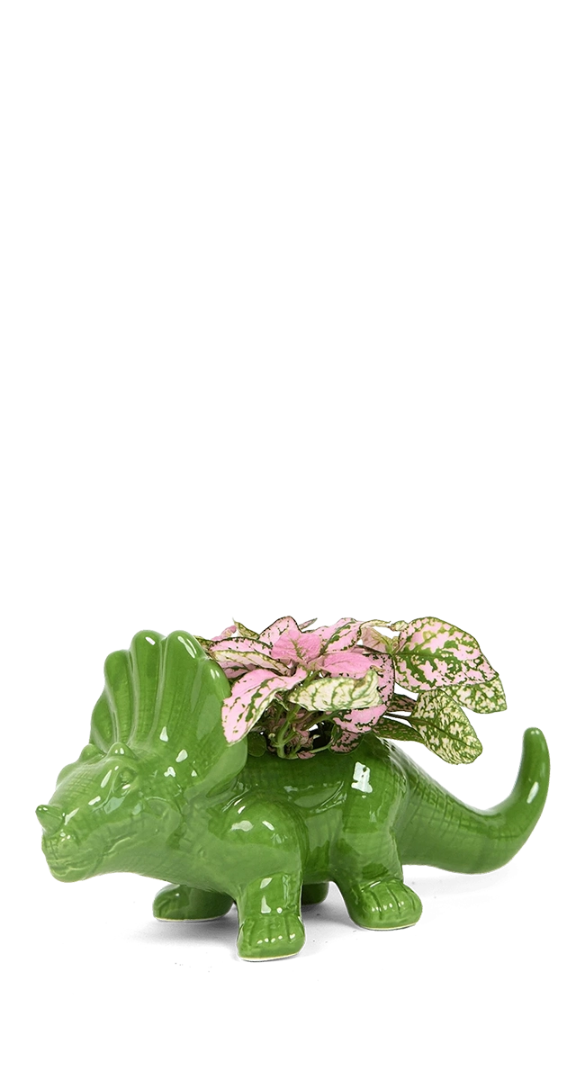 Foliage - Triceratops - handmade by Chive Studio Toronto