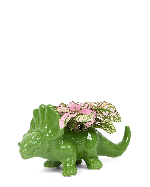 8-triceratops-foliage-