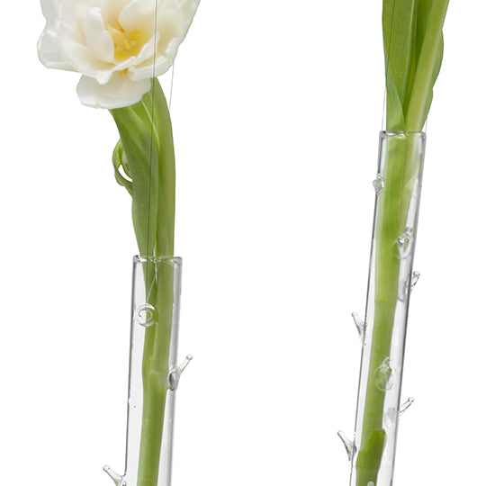 Trendy Thorn Glass Hanging Flower Vase 