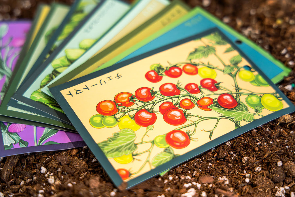 Colorful Shido seed packets with tomato illustrations on a soil background | Chive