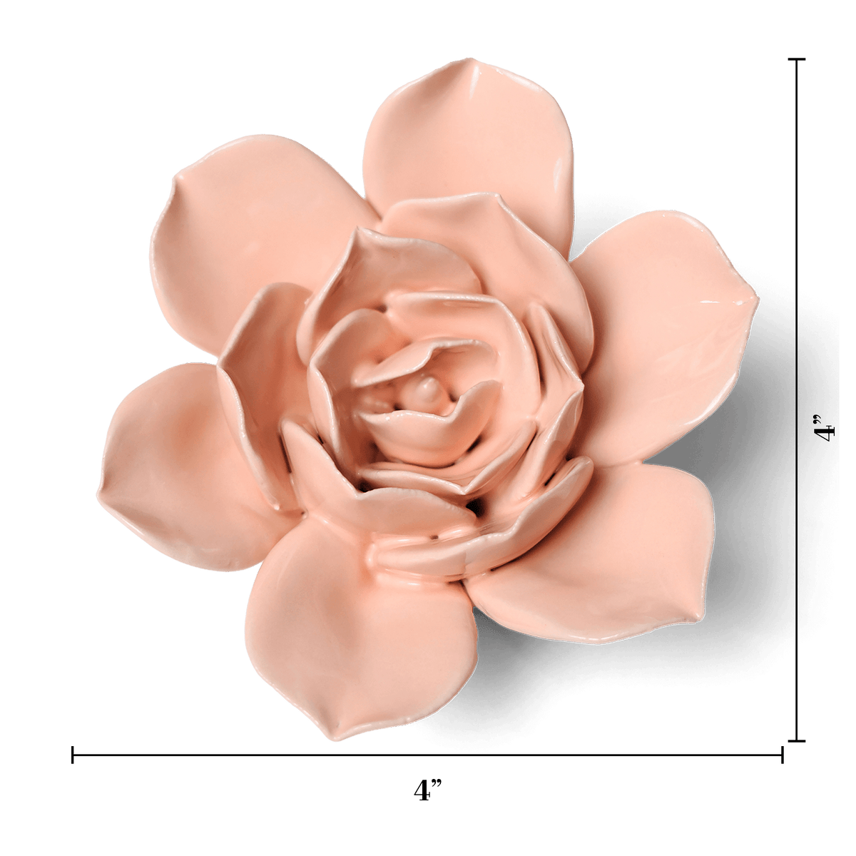 Apricot Pink Narcissus Ceramic Wall Flower | Classic | Chive