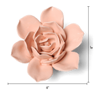 December Birth Flower - Narcissus ceramic wall flower — Birth Flower Collection — handmade by Chive Studio Toronto