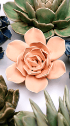 December Birth Flower - Narcissus ceramic wall flower styled on wall — Birth Flower Collection — Chive Studio Toronto