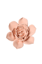 December Birth Flower - Narcissus ceramic wall flower — Birth Flower Collection — handmade by Chive Studio Toronto