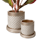 Balter Ceramic Pot And Saucer Set - Chive Ceramics Studio - Pots - Chive Ceramics Studio