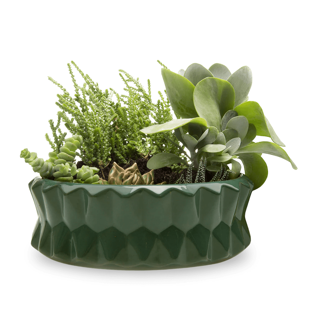 Fang Ceramic Modern Planter For Succulents - Chive Ceramics Studio - Pots - Chive Ceramics Studio