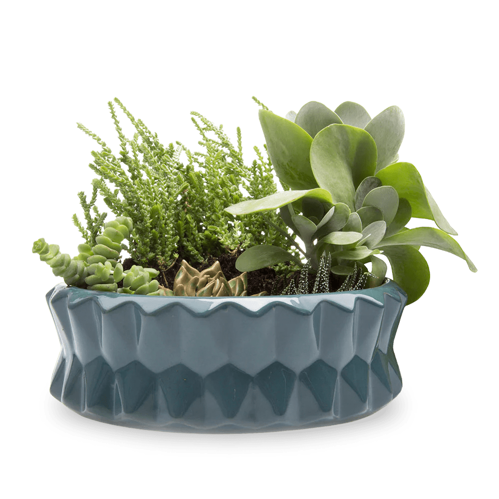 Fang Ceramic Modern Planter For Succulents - Chive Ceramics Studio - Pots - Chive Ceramics Studio