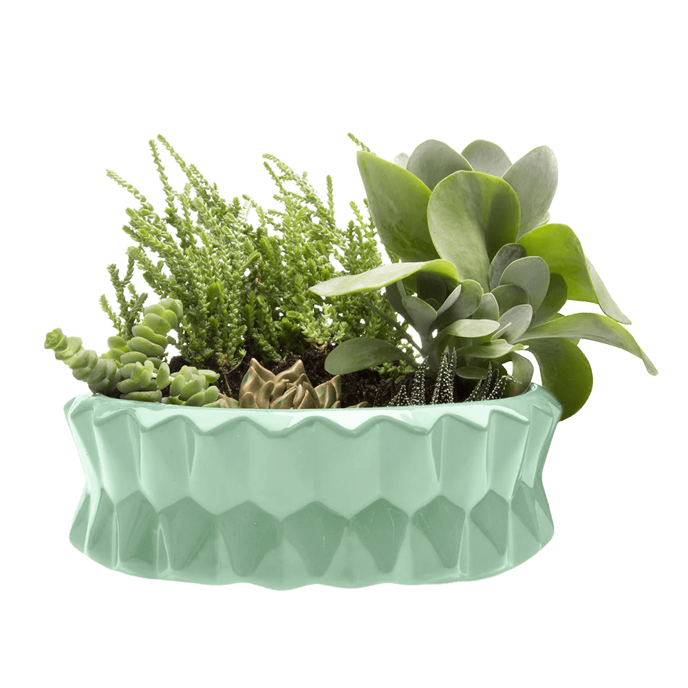 Fang Ceramic Modern Planter For Succulents - Chive Ceramics Studio - Pots - Chive Ceramics Studio