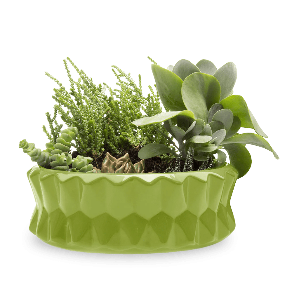 Fang Ceramic Modern Planter For Succulents - Chive Ceramics Studio - Pots - Chive Ceramics Studio