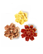 Ceramic Birth Flower Collection - Spring - Chive Ceramics Studio - Ceramic Flowers - Chive Ceramics Studio