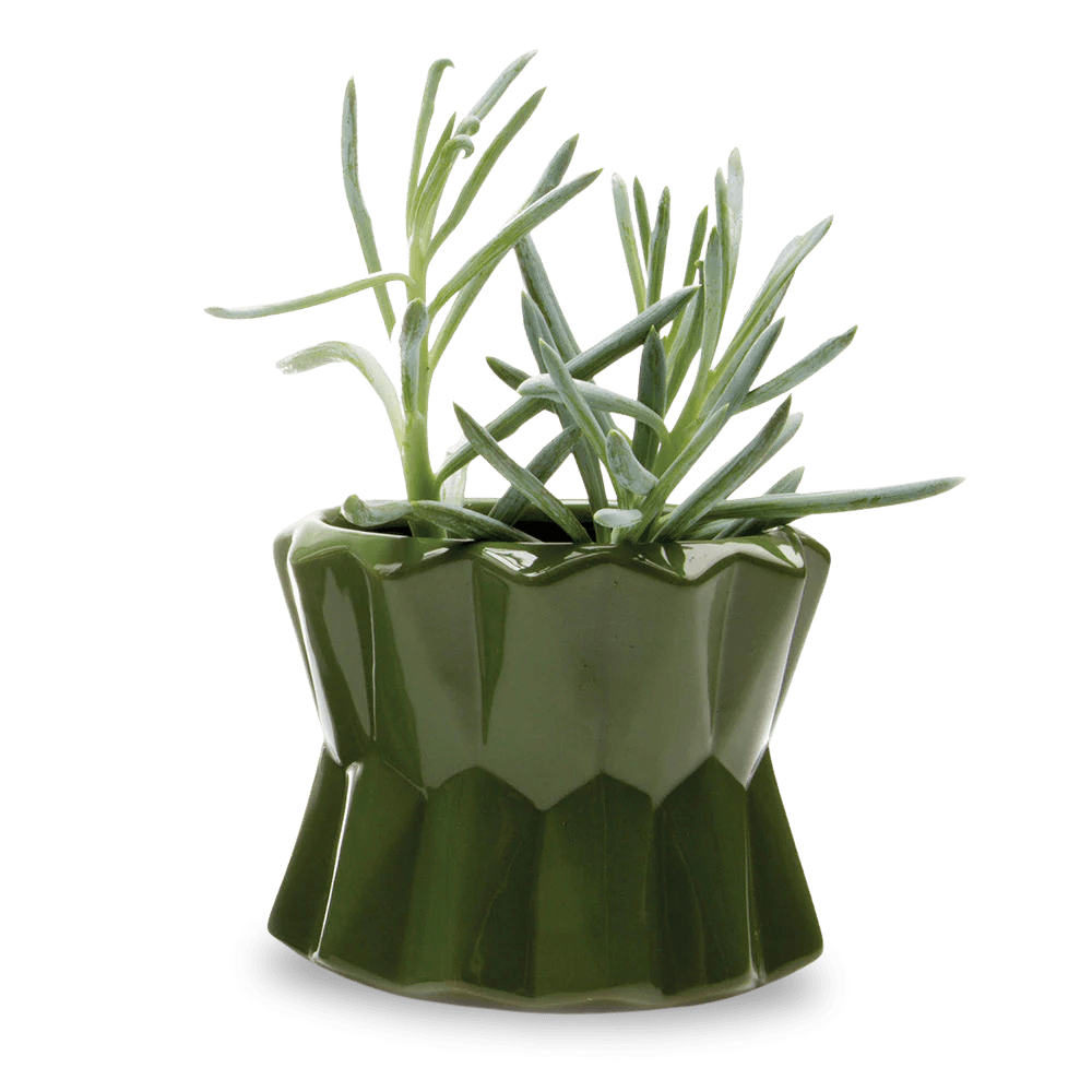 Fang Ceramic Modern Planter For Succulents - Chive Ceramics Studio - Pots - Chive Ceramics Studio