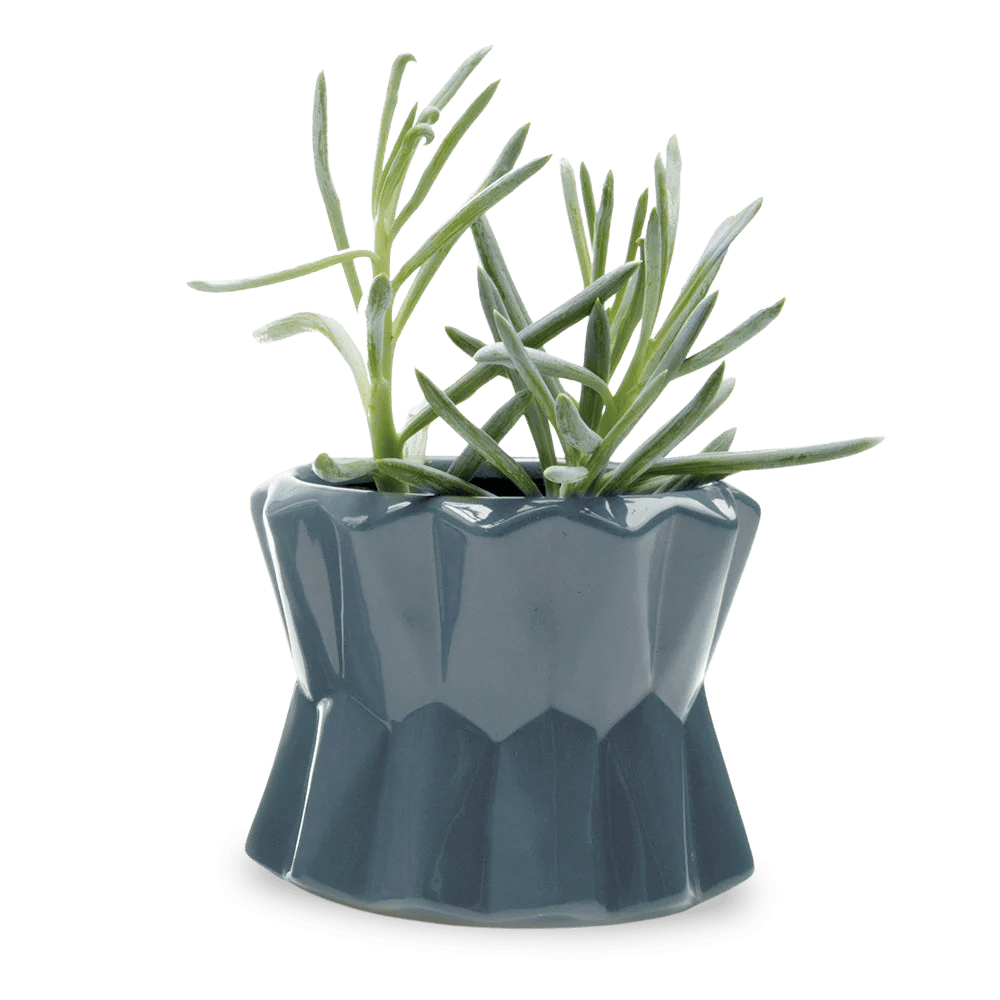 Fang Ceramic Modern Planter For Succulents - Chive Ceramics Studio - Pots - Chive Ceramics Studio