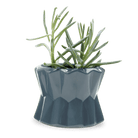 Fang Ceramic Modern Planter For Succulents - Chive Ceramics Studio - Pots - Chive Ceramics Studio