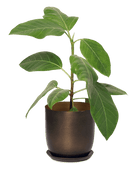 Joe Metal Pot With Drainage Hole | 3 & 5 inch - Chive Ceramics Studio - Pots - Chive Ceramics Studio