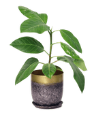 Joe Metal Pot With Drainage Hole | 3 & 5 inch - Chive Ceramics Studio - Pots - Chive Ceramics Studio